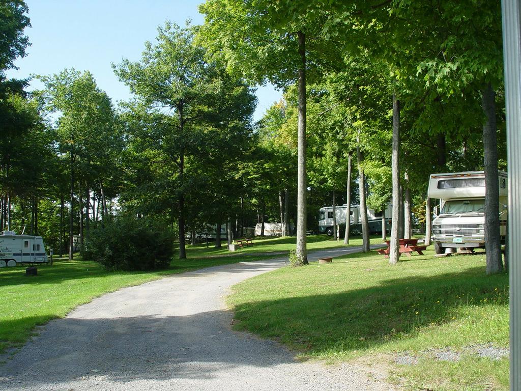 Shady Oaks RV Park Go Camping America